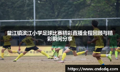 威九国际6m66免费进入主页