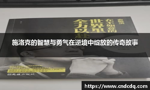 施洛克的智慧与勇气在逆境中绽放的传奇故事